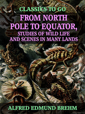 cover image of From North Pole to Equator, Studies of Wild Life and Scenes in Many Lands